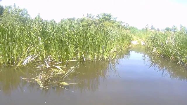 Июнь на рыбу плюнь,рыбалка на малой реке смотреть онлайн