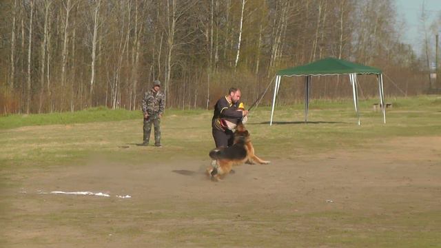 Чемпионат Тверской области (CACT) 2014 г. по ОКД и ЗКС смотреть онлайн