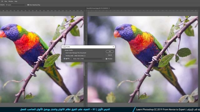01 - الدرس الأول | الفرق بين CMYK VS RGB + Color Profile смотреть онлайн