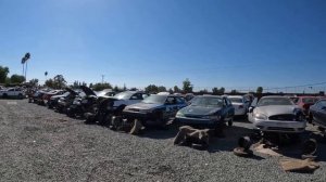 Авторазборка в США. Свалка машин.