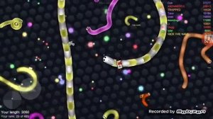 Мы змеий.игра змея