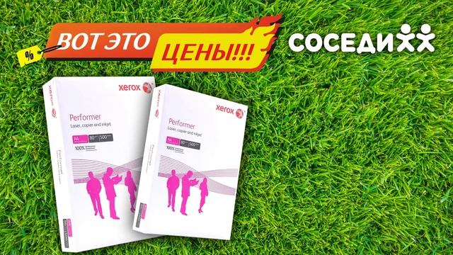Вот это цены в Соседи! С 10 по 23 августа смотреть онлайн
