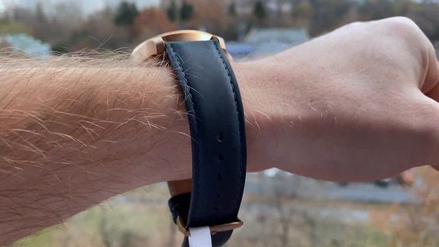 traser 108074 P67 Officer Pro Automatic Bronze Blue review смотреть онлайн