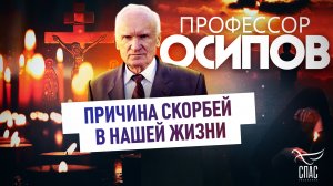 ПРОФЕССОР ОСИПОВ: ПРИЧИНА СКОРБЕЙ В НАШЕЙ ЖИЗНИ
