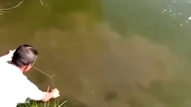 Поймал сома на закидушку смотреть онлайн