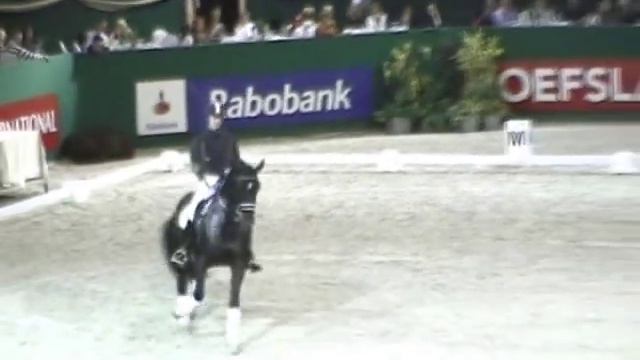 Edward Gal en Moorland's Totilas clinic NIC Zuidlaren deel 2 смотреть онлайн