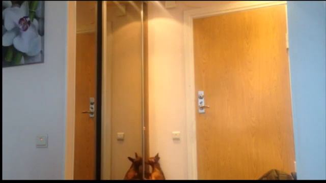 Сколько друзей поместится в шкафу? смотреть онлайн