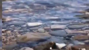 ТОХА СУРА для открытия дороги, открывающая все закрытые дороги сильная сура