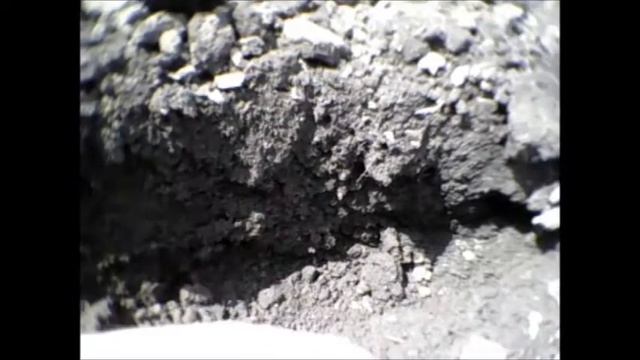 посадка картофеля по технологии ноу тилл))))