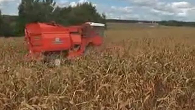 Мозырь 855 смотреть онлайн