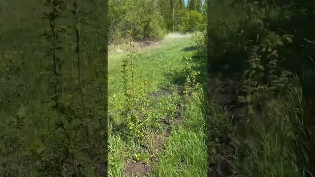 Дача СНТ Аист смотреть онлайн