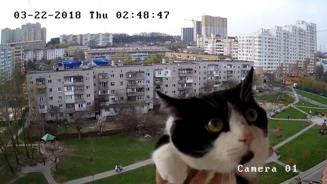 Вышгород, Поляна Сказок