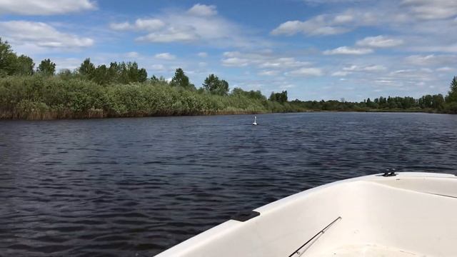 Лодка Пингвин и Лебедь смотреть онлайн