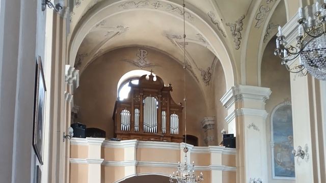Pójdz do Jezusa. Орган в Лидском Крестовоздвиженском фарном костёле смотреть онлайн
