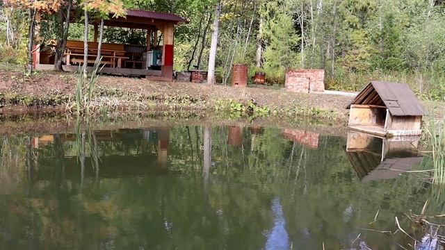 Извините! Кина не будет! смотреть онлайн