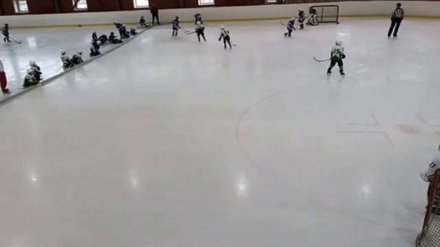 31.03.2017 Северная звезда(3) - Дмитров(2) 3-4 Кубок Федерации хоккея г. Москвы смотреть онлайн