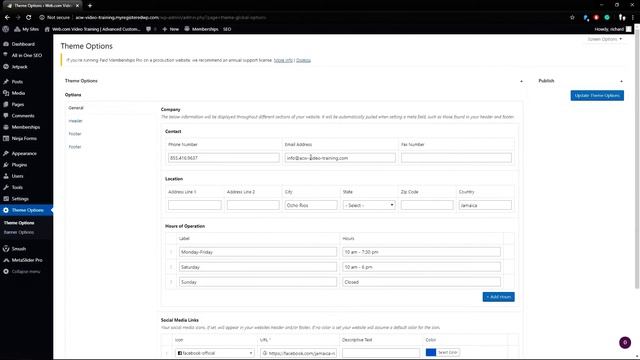 WordPress Tutorial: How to Update Global Theme Options смотреть онлайн