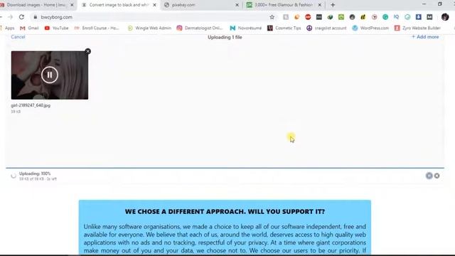 How to convert upto 50 images to grayscale/B&W online in 1 click without using any software смотреть онлайн