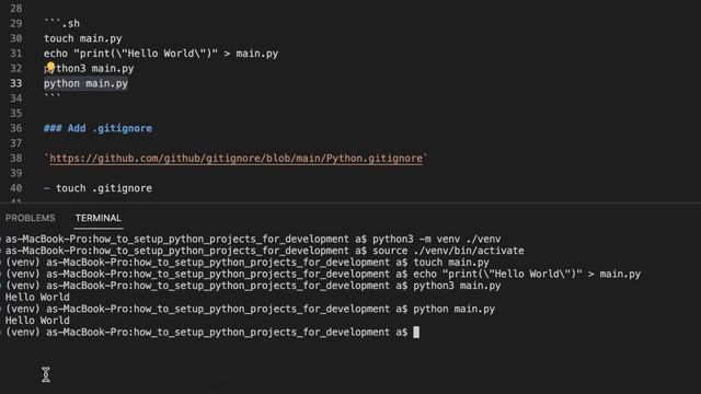 Project Setup for Python 2 AND 3 [with Virtualenv] смотреть онлайн