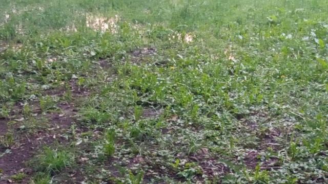 река после дождей смотреть онлайн