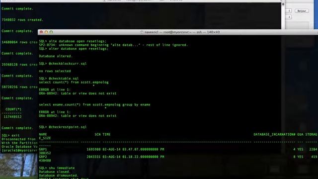 Oracle Guaranteed restore points смотреть онлайн