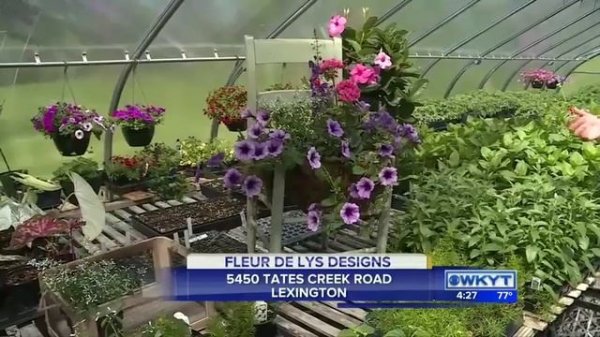 Out & About Fleur De Lys Designs Part 1