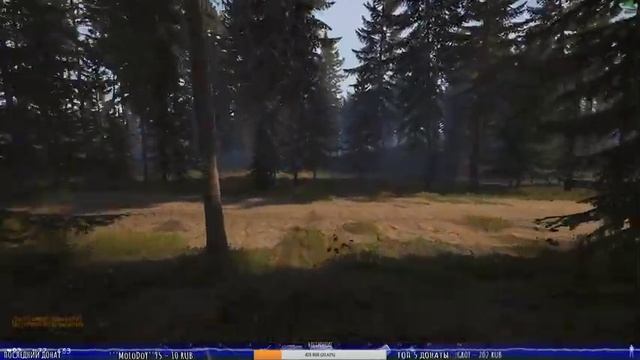 ☠ВЫЖИВАЕМ в СУРОВОМ МИРЕ ☠В ЧЁМ СИЛА БРАТ!? ☠??Deadside??прямой эфир смотреть онлайн ? ▌Стрим ▌ смотреть онлайн