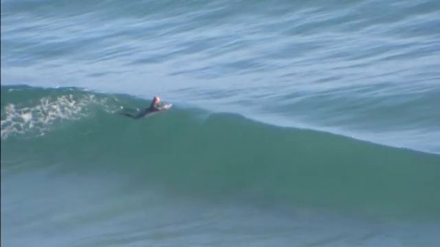 Когда акула атакует /Зоо ТВ/ смотреть онлайн