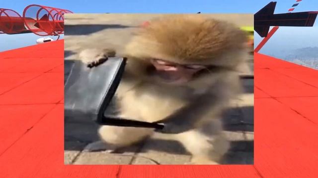 Очаровательные Окрашивания