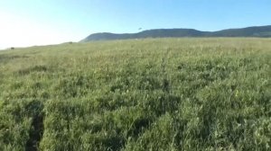 Рыбалка на Красноярском водохранилище  ч 3