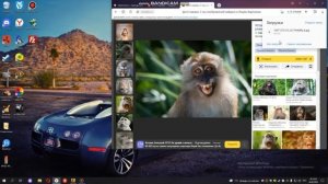 Установка аватарки в стим