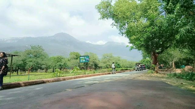 Tirupati Zoo park || sri venkateshwara Zoo park Tirupati || Tirupati zological park смотреть онлайн