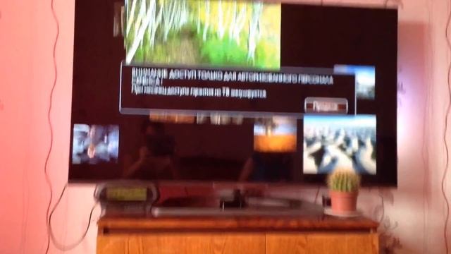 Сервисное меню Service menu Philips смотреть онлайн