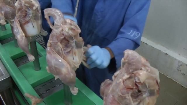Expertly Cut and Classified: The Cutting Up Process at Poultry Plant смотреть онлайн