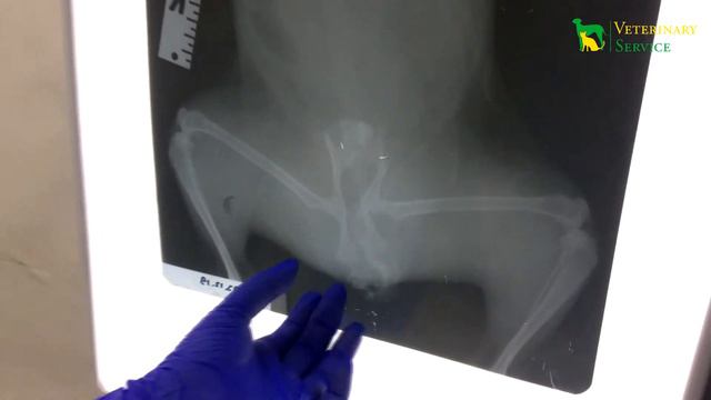 Рэй с политравмой смотреть онлайн