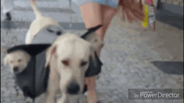 Подарок любимой мамочке!) смотреть онлайн