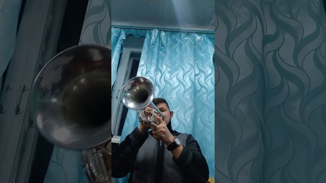 "Субботея" (Барыня) А.Халилов. Духовой оркестр Молодогвардейской ДШИ. смотреть онлайн