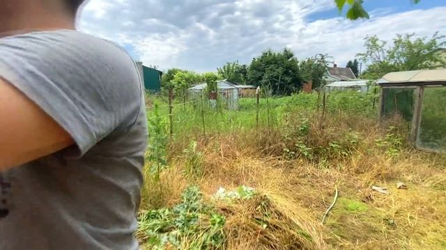 Я КУПИЛ ДОМ в ДЕРЕВНЕ / ЗАРОСШИЙ УЧАСТОК и ОПАСНЫЕ ПЧЕЛЫ / VLOG смотреть онлайн