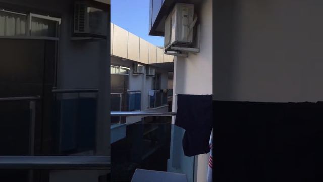 3 Bedroom Swim-up Room! | EFTALIA OCEAN смотреть онлайн