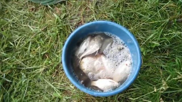 Рыбалка в Шаровке смотреть онлайн