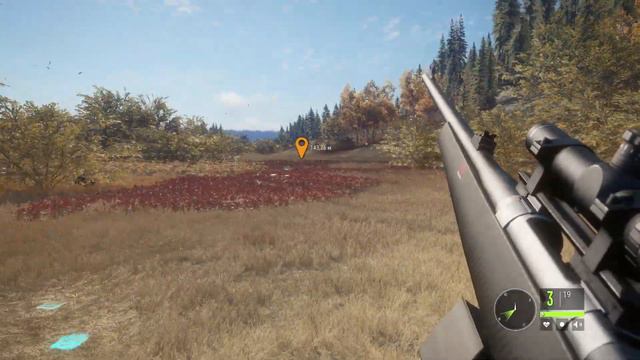 ПРАЗДНИЧНЫЙ РОЗЫГРЫШ. 500 ПОДПИСЧИКОВ. ОЧЕНЬ КРАСИВАЯ ИГРА. the Hunter Call of the Wild. смотреть онлайн