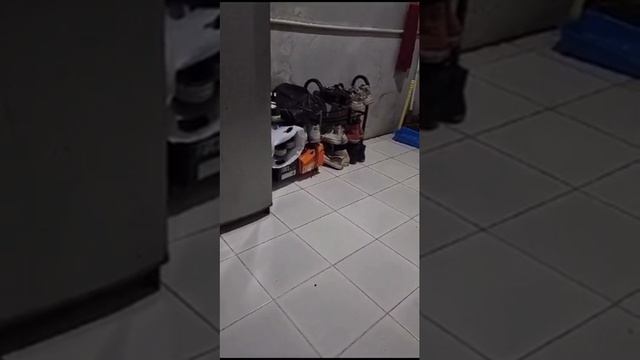 мышь буксует смотреть онлайн