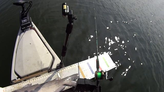 3 Fish at a Time! Tripled Up in a Kayak смотреть онлайн