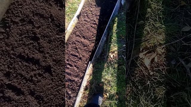 Полив в зиму, нужен?