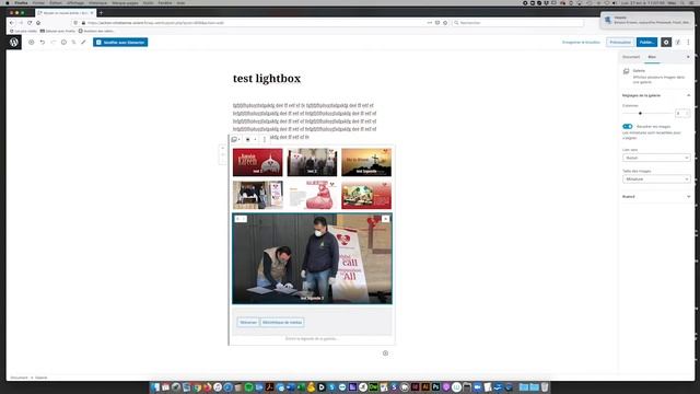 placer une lightbox pour galerie wordpress смотреть онлайн