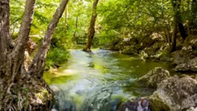 Звуки реки в лесу без пения птиц для сна