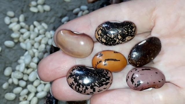 КРЕПКИЕ кости и ЗУБЫ, здоровое СЕРДЦЕ- залог УСПЕШНОЙ жизни. смотреть онлайн