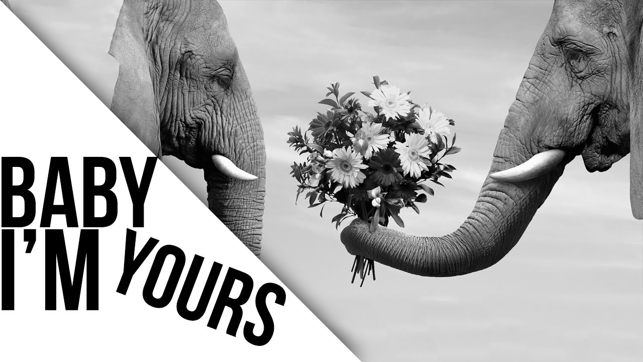 Arctic Monkeys - Baby I'm Yours [Lyrics]