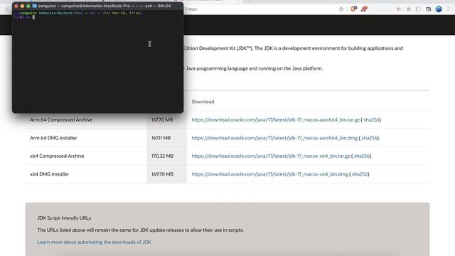 Class 5 - Java and set up JAVA HOME смотреть онлайн