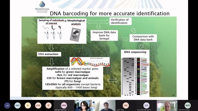 MeerWissen Webinar: CLIMALG_SN, 03.03.2021 смотреть онлайн